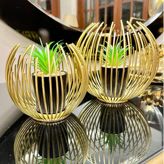 Golden Globe with Inside Plant